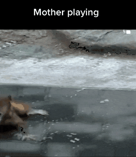 1685651515_4.gif