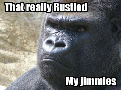 tumblr_mbjcjb9cNq1qamt4s.jpg