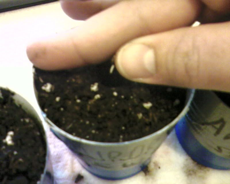 Photo-0178.jpg