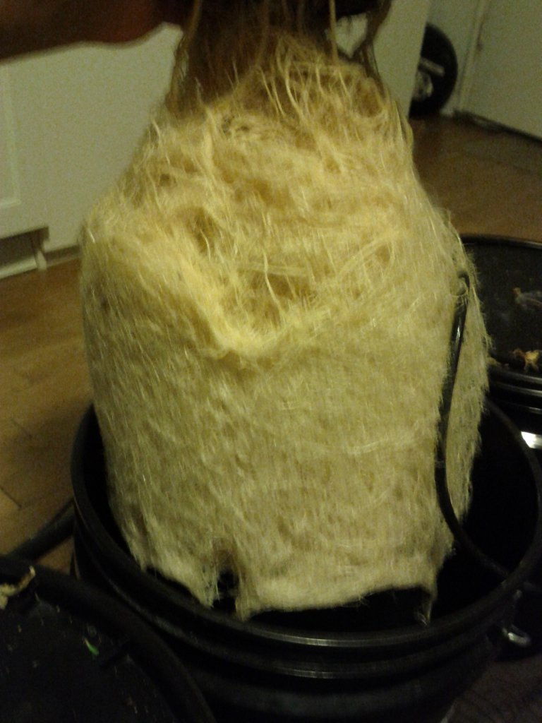 XykRj.jpg