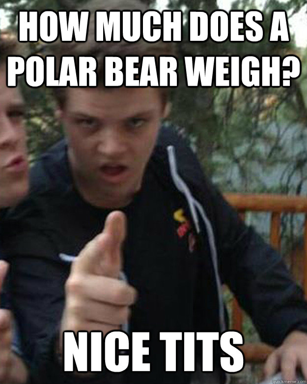 polarbear.jpg