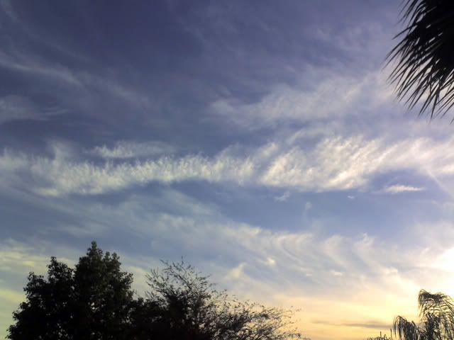 12-11-08_1625.jpg