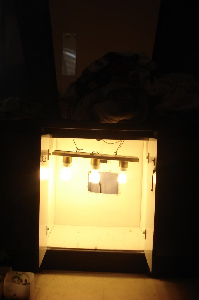 SETUPOLD.jpg