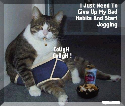 cat1ht.png