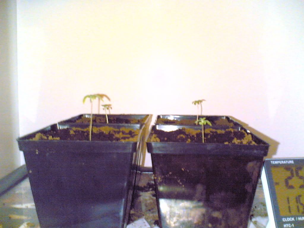 d24d2e54.jpg
