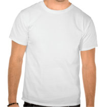 i_am_a_huge_conspiracy_theorist_tshirt-p235827906177127547tdq8_210.jpg