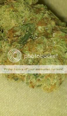 2011-10-11_22-59-24_237.jpg