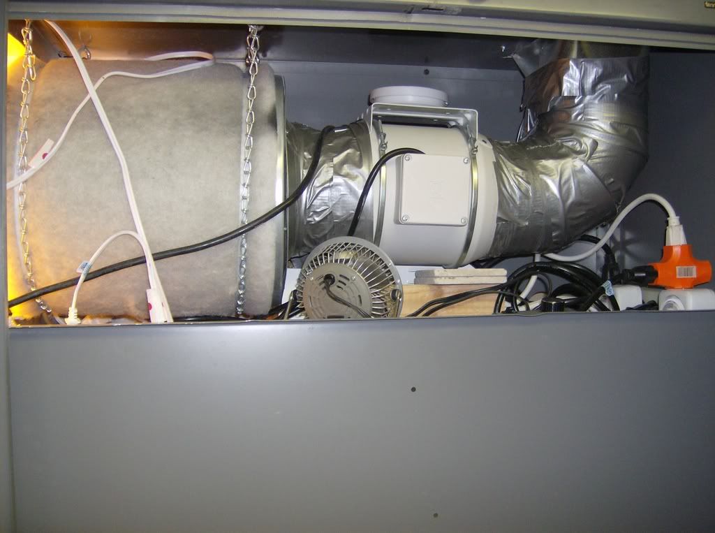ImportedPhotos00136.jpg