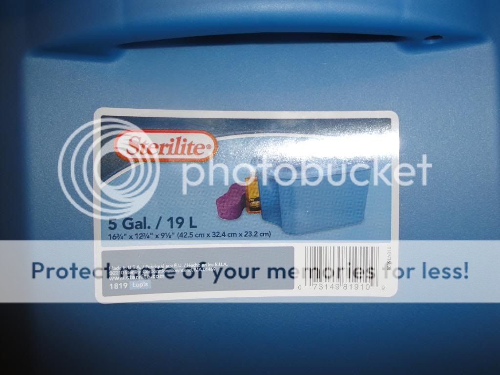 DSC02773.jpg