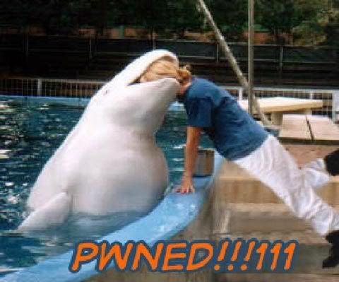 pwned-funny4.jpg