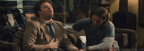 giphy.gif