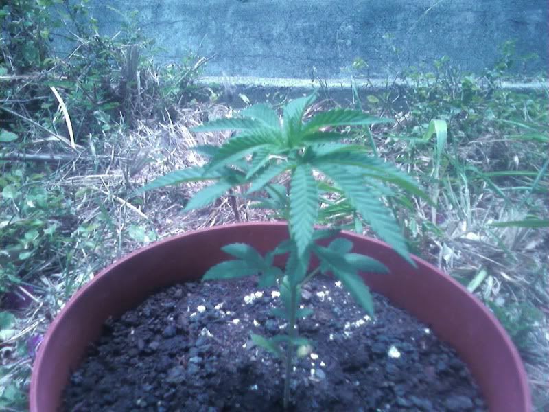 0624091150.jpg