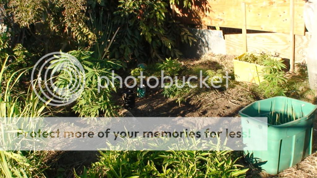 DSC00549.jpg