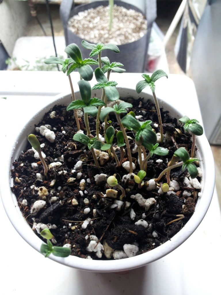 20121127_135656.jpg