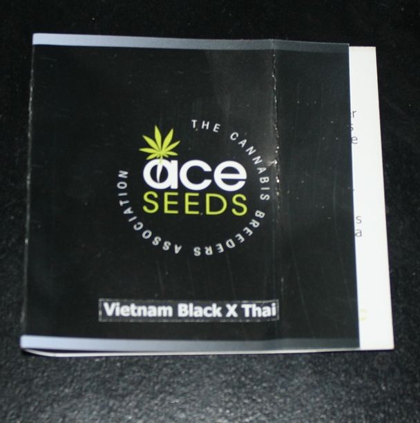aceseed_zpse28acaa4.jpg