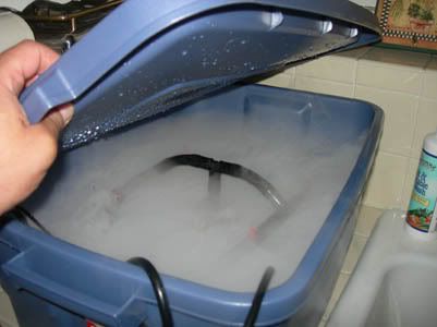DSCN3588.jpg