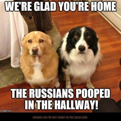 pooped_zpsqv3oniym.jpg
