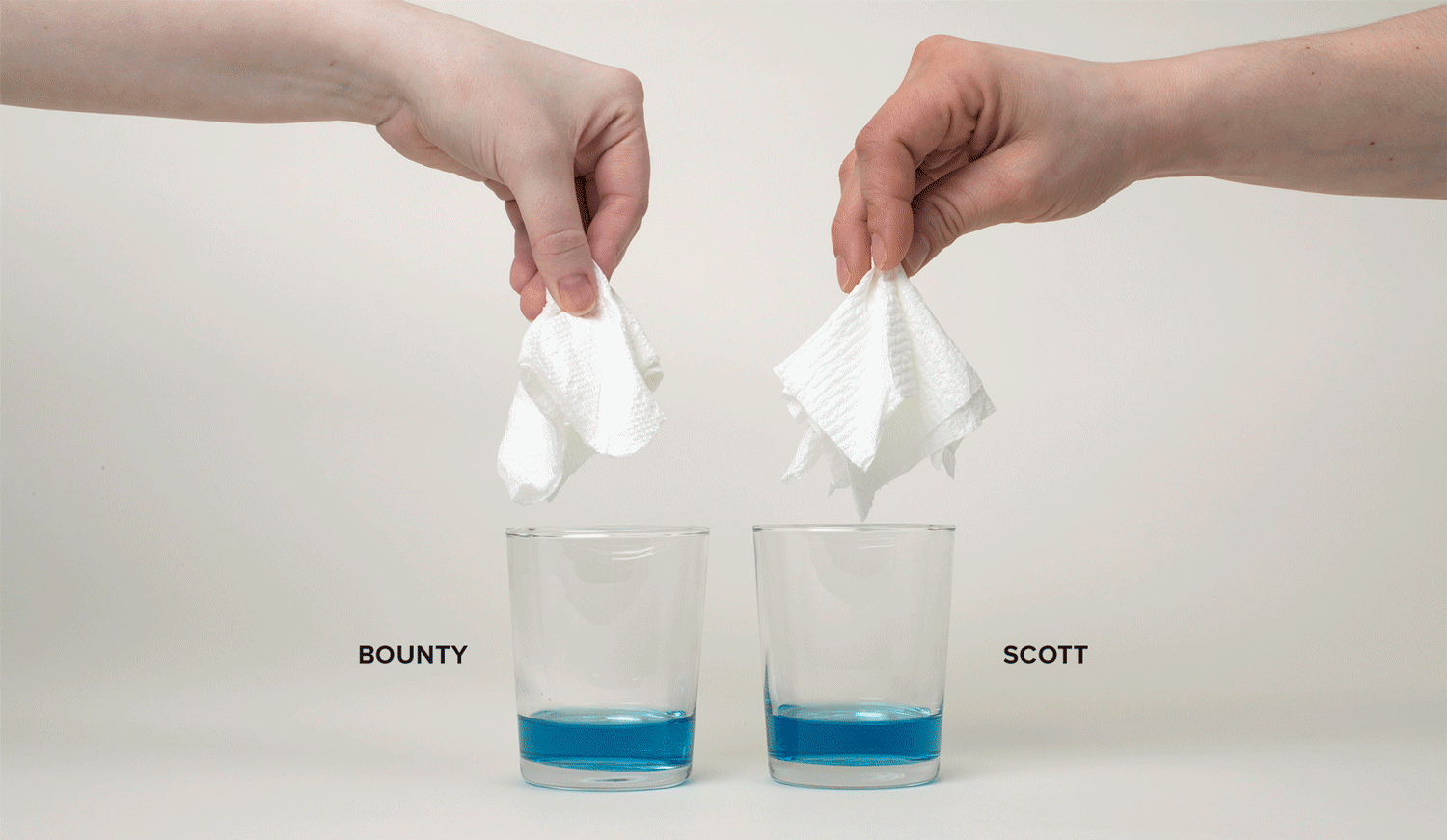 PaperTowels.gif
