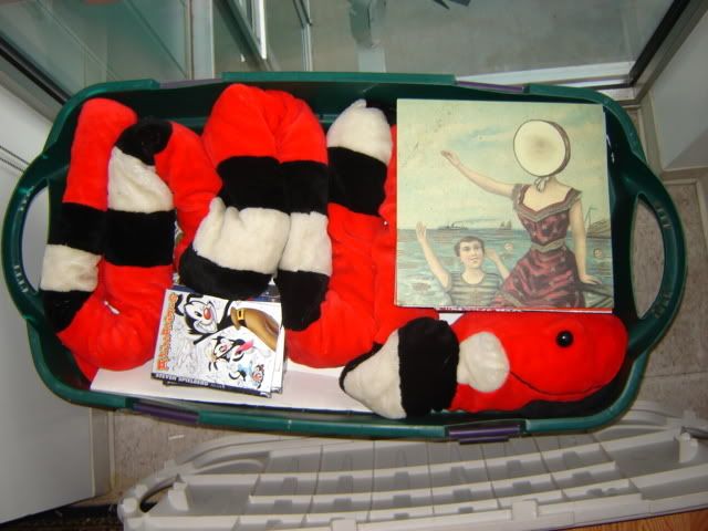 DSC03549.jpg