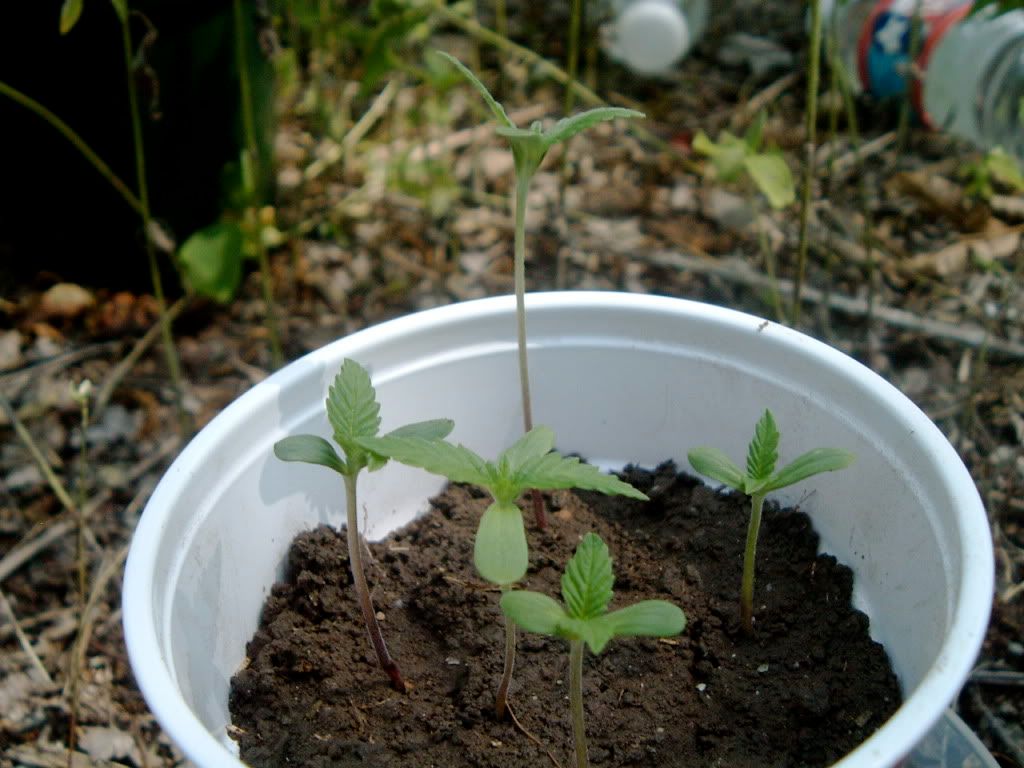 DSCF4829.jpg