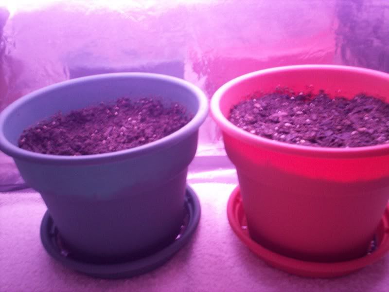 100_0426.jpg