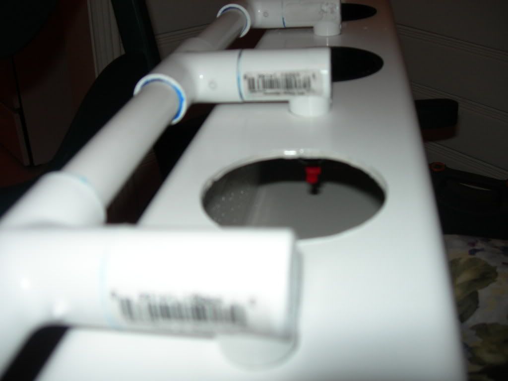 DSCN3595.jpg