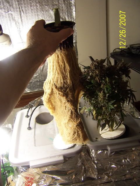 000_2166.jpg