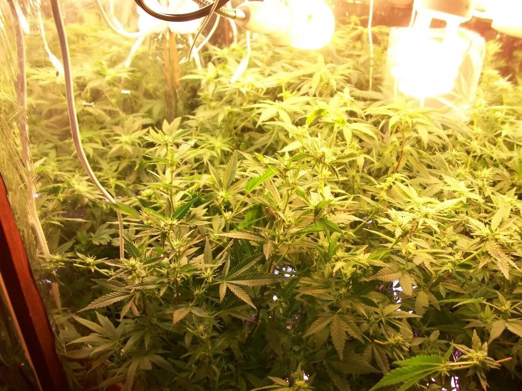 5-8-11001.jpg