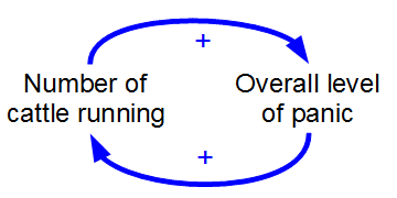 Stampede_loop.png