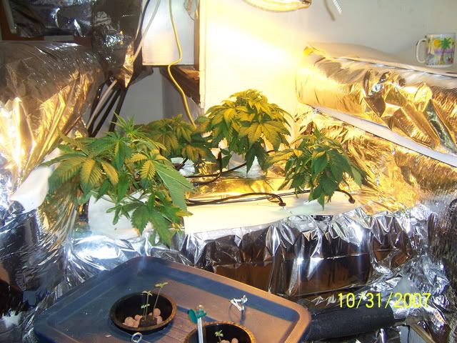 000_1781.jpg