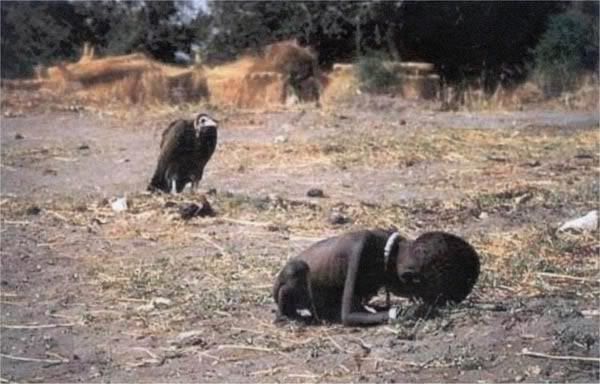 child_vulture.jpg