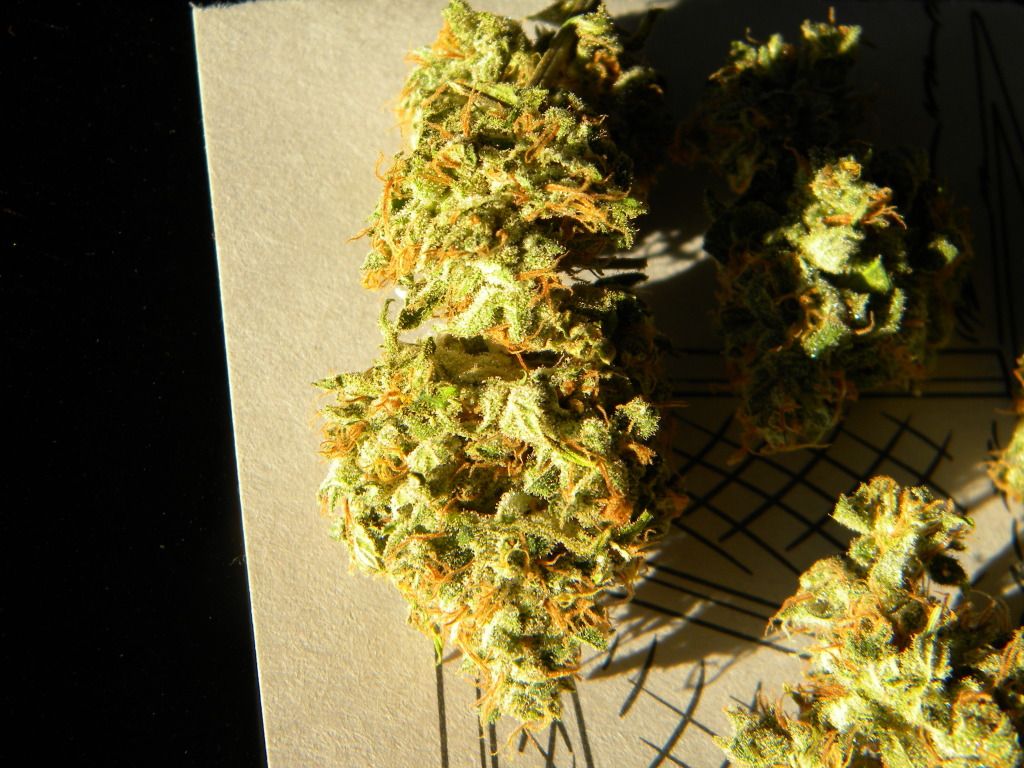 DSCN4053.jpg