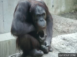 tumblr_m9gidx5kPE1rnlu31.gif