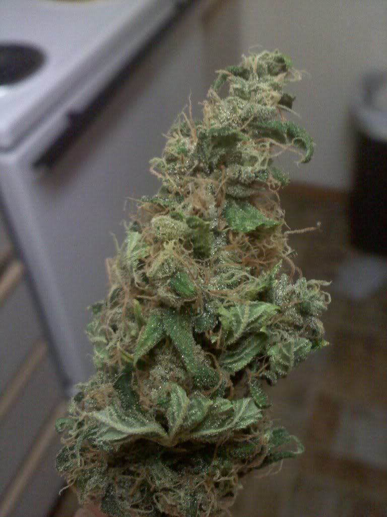 20101011022349.jpg