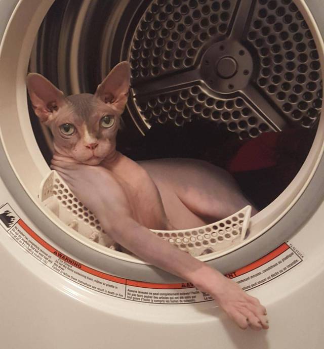 acid_picdump_81.jpg