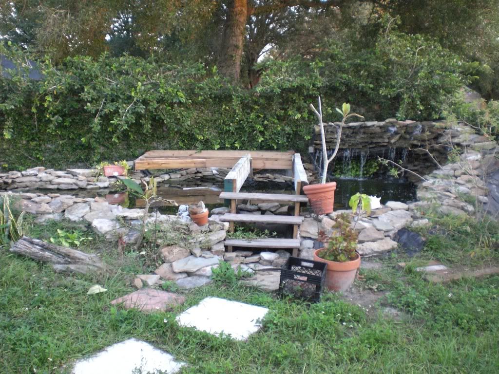 CIMG0210.jpg