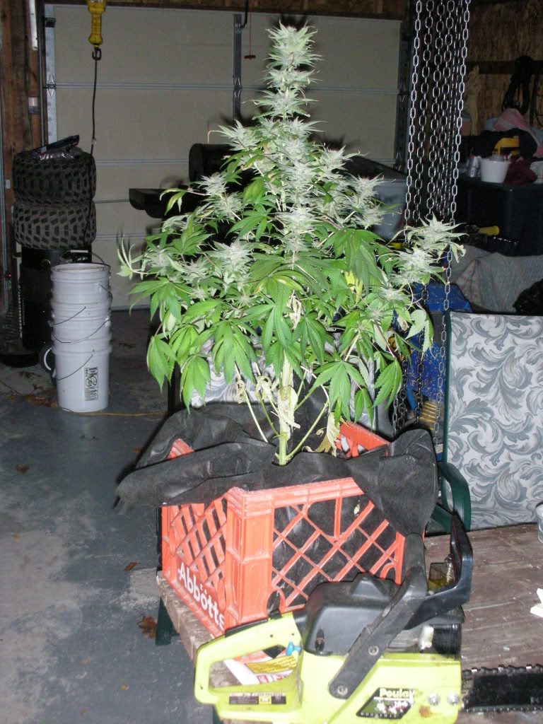 DSCN3811.jpg