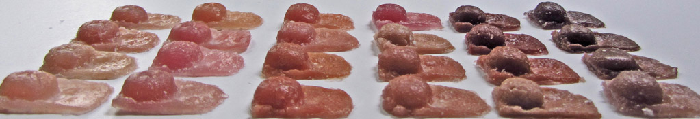 home-natural-match-color-samples.jpg