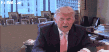 FGannoyingguy.gif
