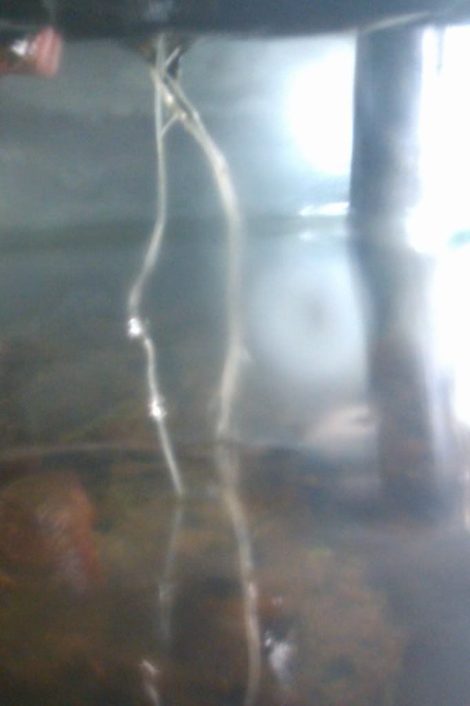 IMAG0224.jpg