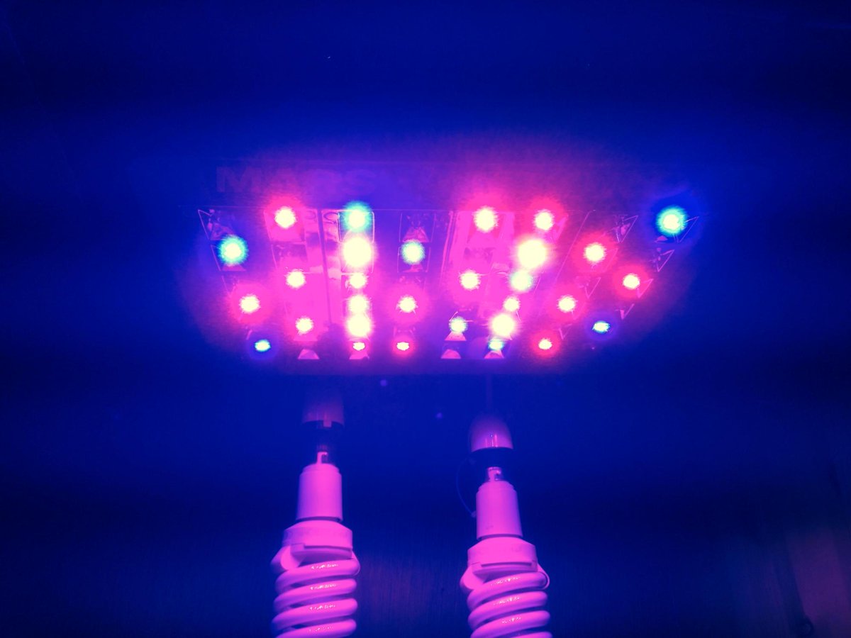 CPwWUyrWEAAr5uv.jpg