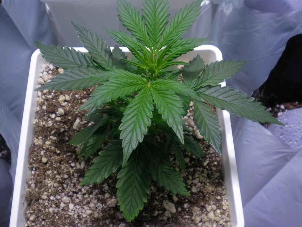 10-20-11003.jpg
