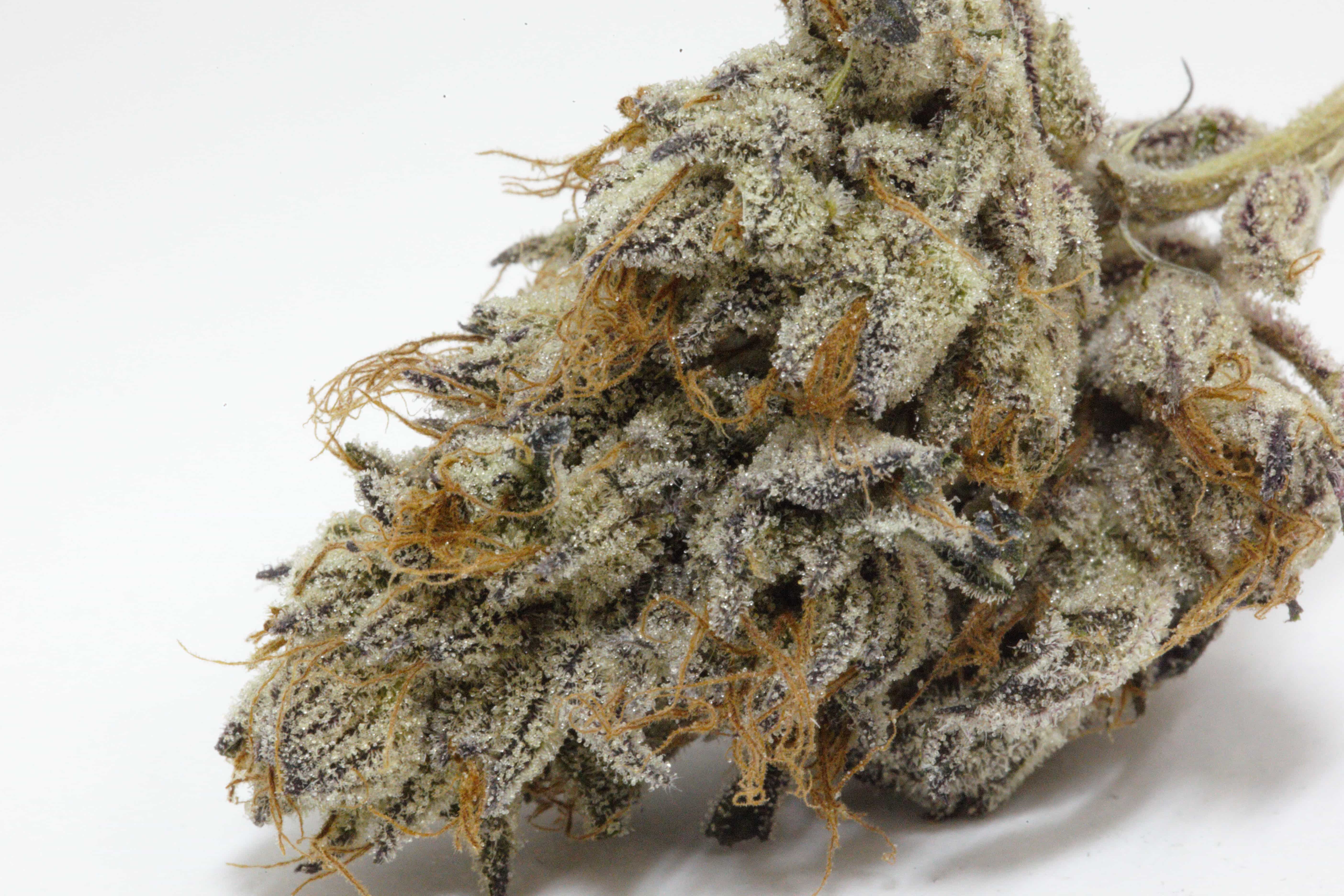 purple20badlands206_zpss6e0zadf.jpg