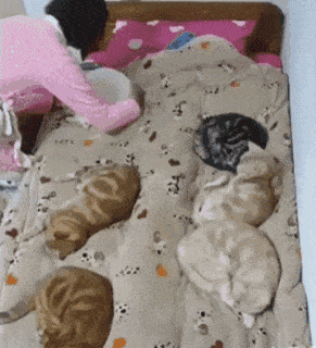 1664543620_20.gif