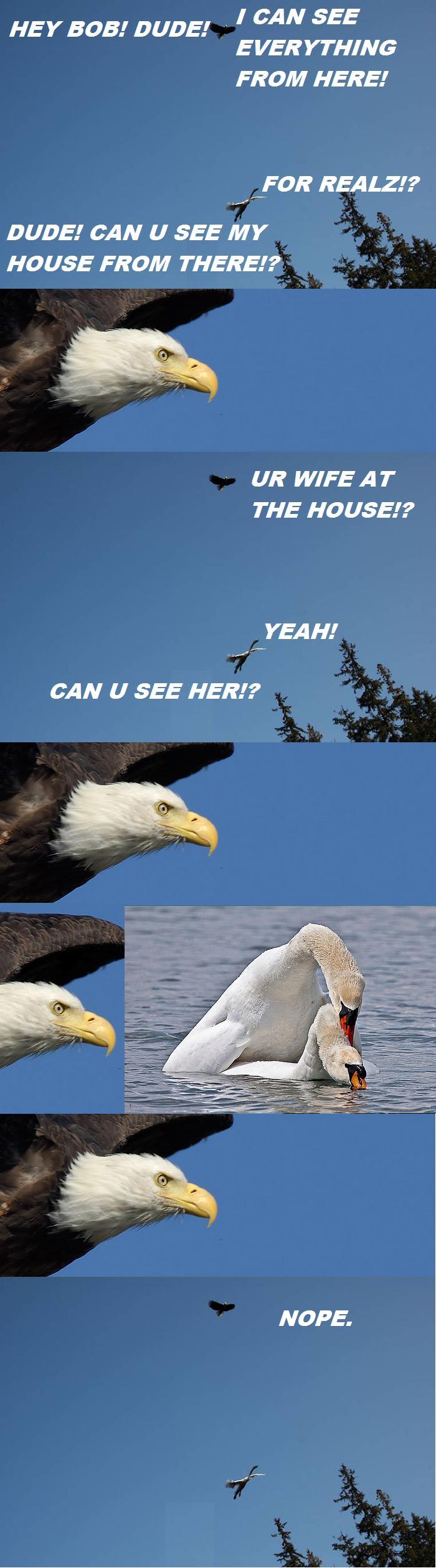 ZO4gx.jpg