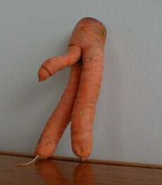 230px-Carrot.jpg