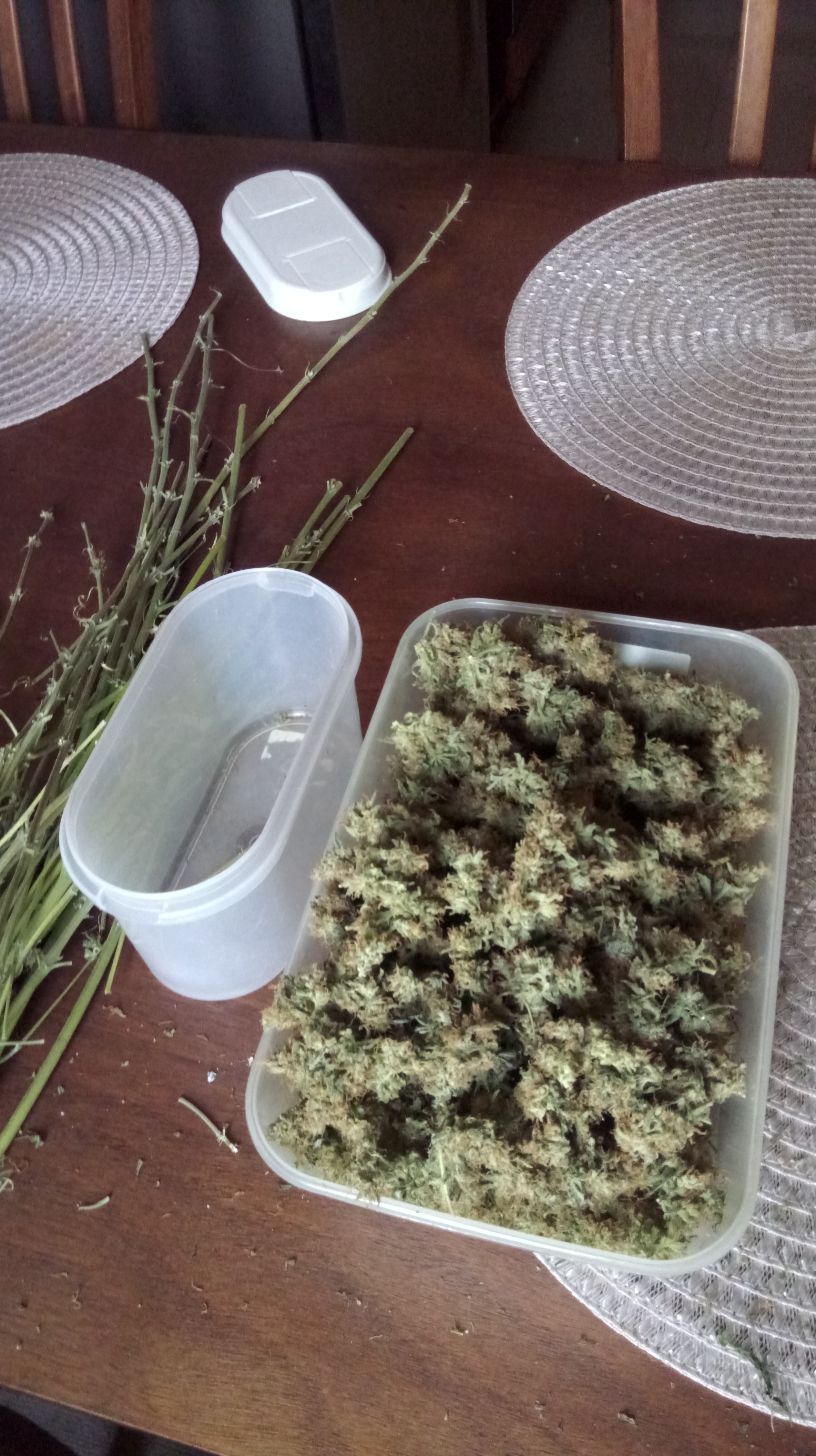 IMAG0020.jpg