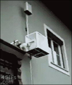 Cat-elevator.gif