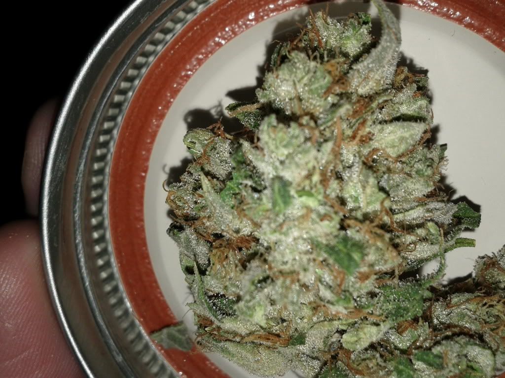 IMG_20111226_074516.jpg
