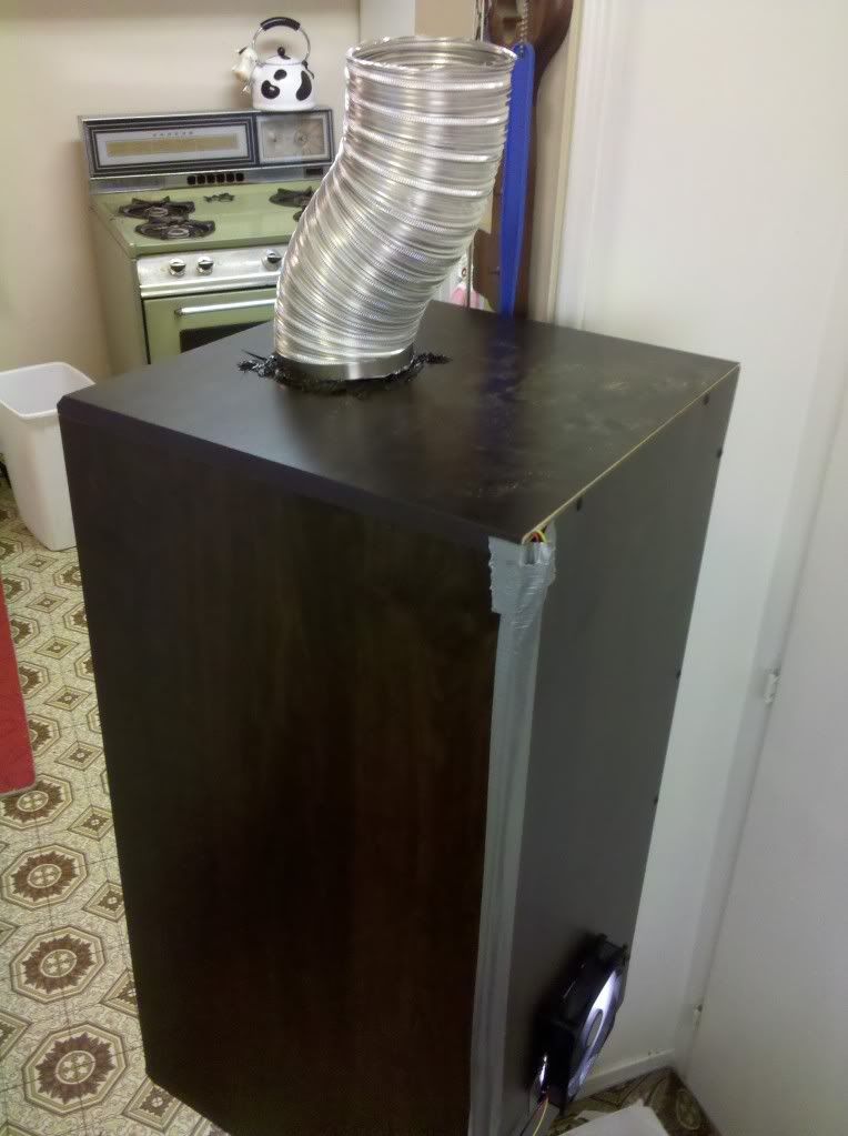 IMG_20101104_155307.jpg